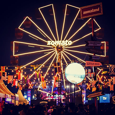 At the Zoomaland