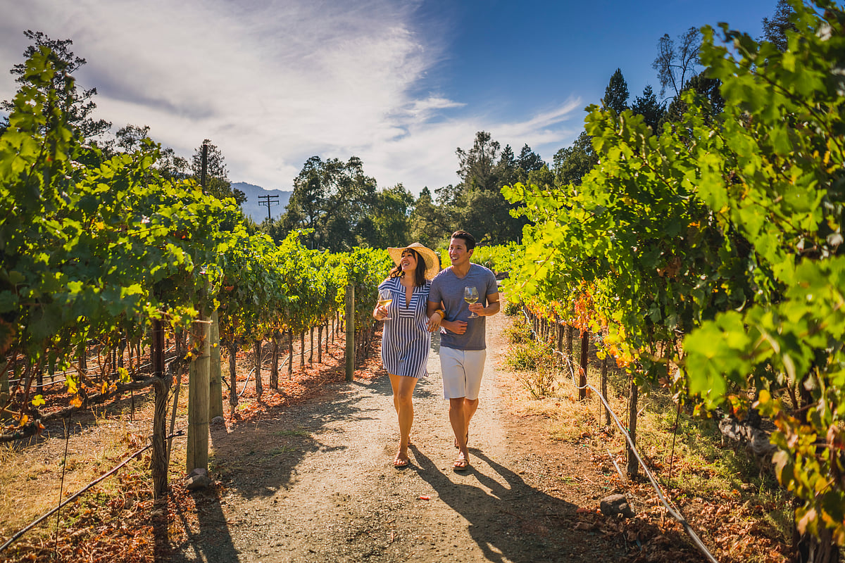 Napa Valley