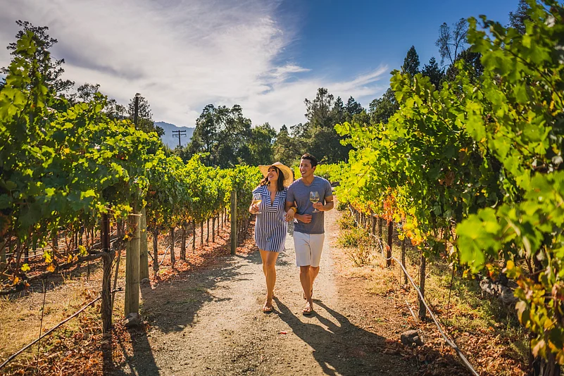 Napa Valley