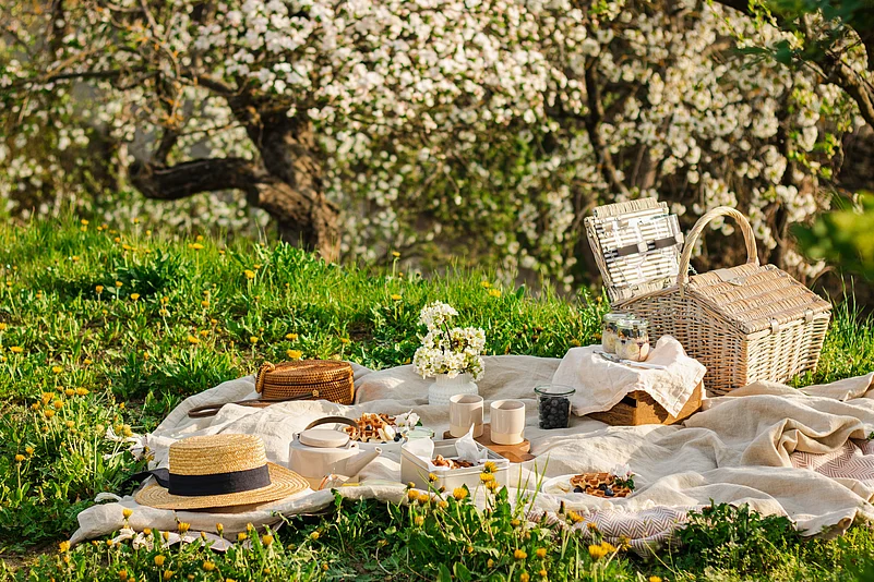 Get picnicking this winter