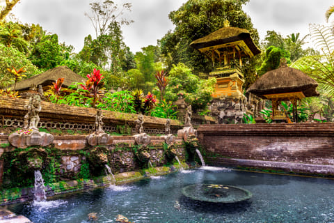 Pond in the complex