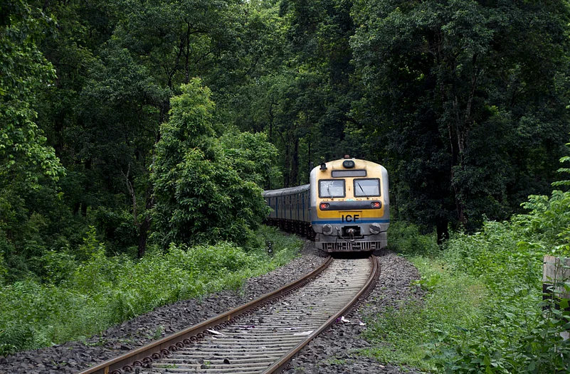 A train runs through the reserve forest of Lataguri in Dooars