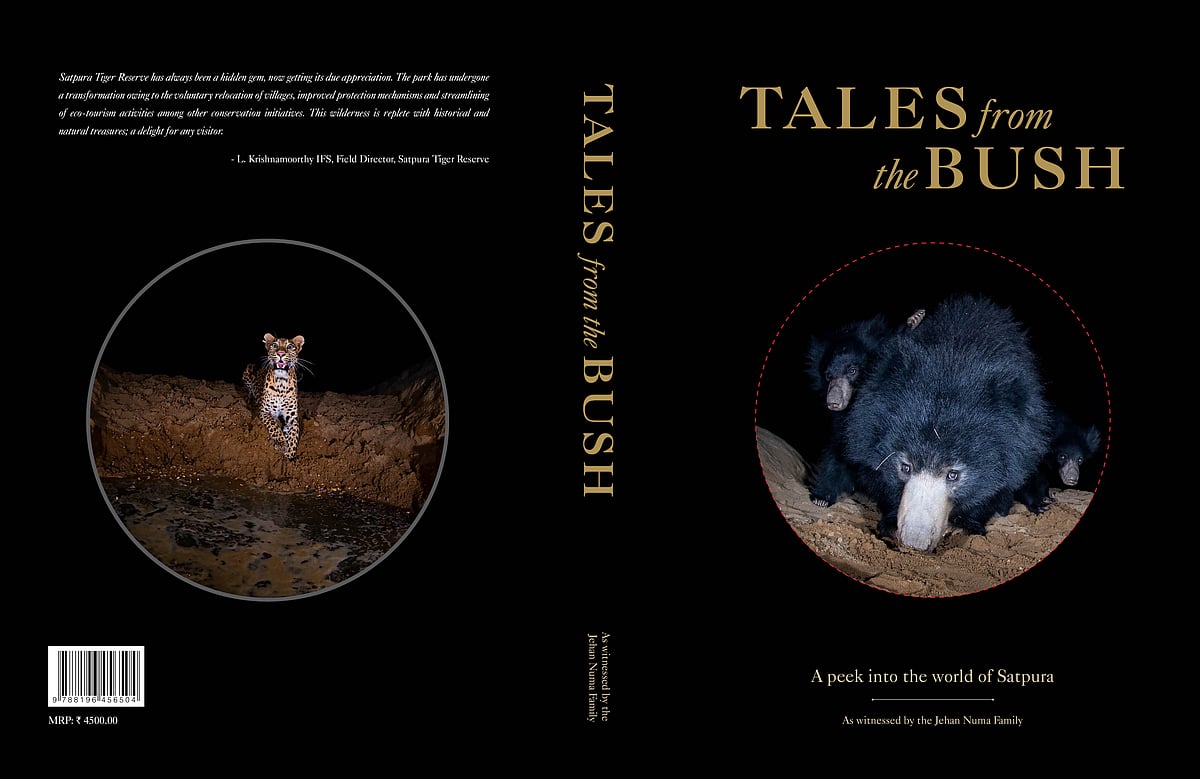 The cover of Tales From The Bush