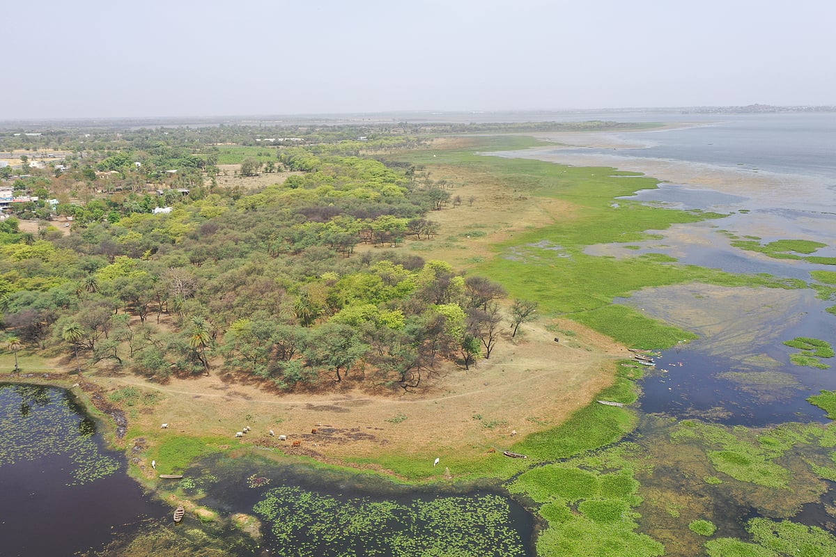 Aerial view of the expansive Bhoj wetland