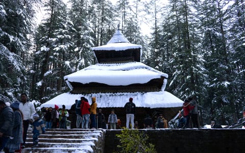 Hidimba Devi Temple is surrounded by thick deodar forests 