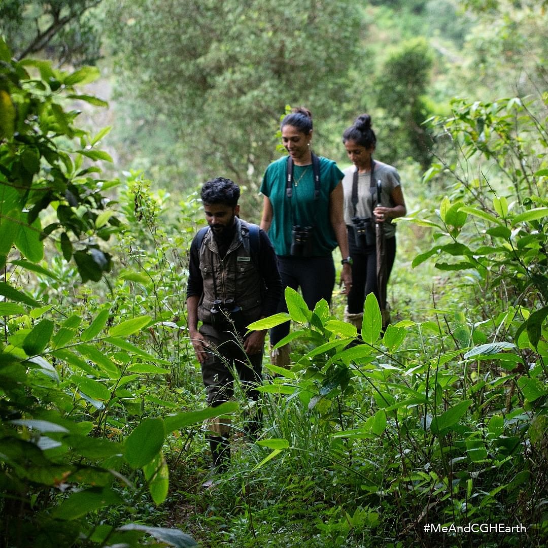 Enjoy guided nature trails through the lush Nilgiri Biosphere Reserve