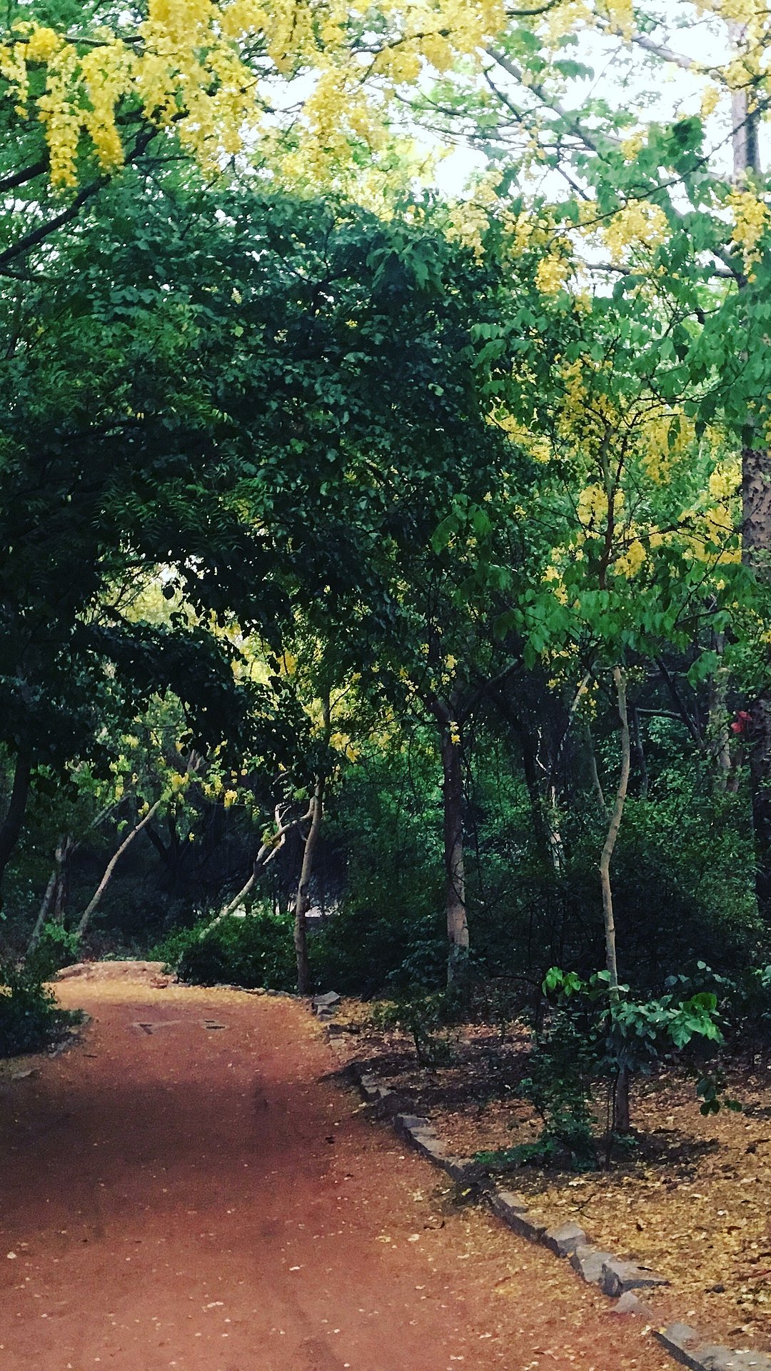Sanjay Van