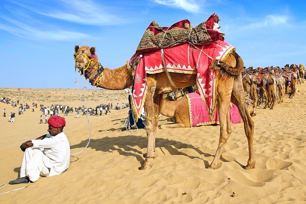 At the dunes during the Bikaner Camel Festival 