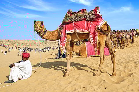At the dunes during the Bikaner Camel Festival 