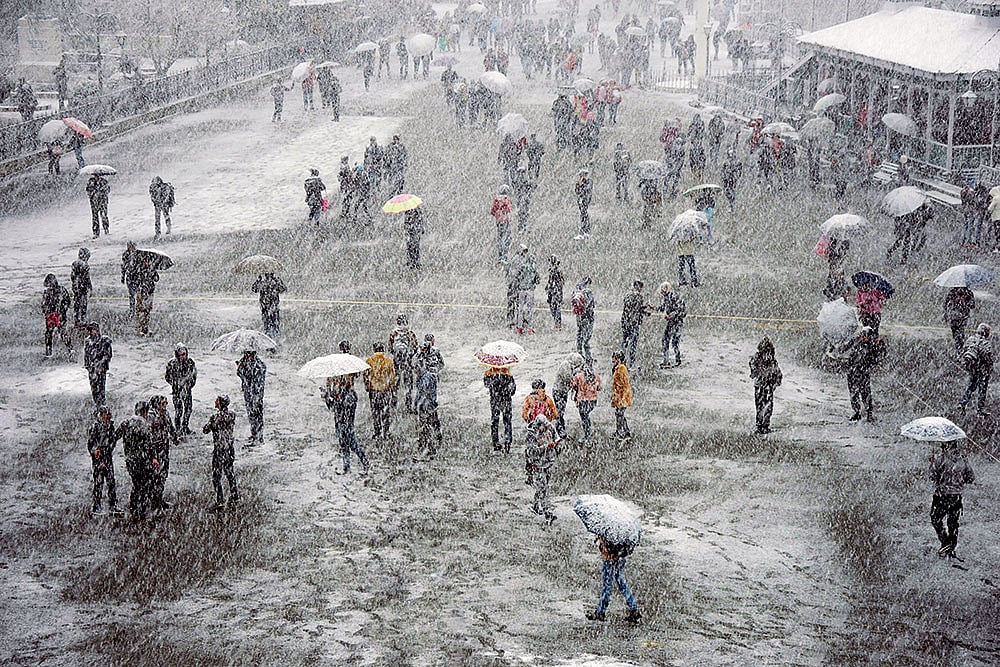 Under gentle snowfall, pedestrians huddle under colourful umbrellas, their figures silhouetted against the backdrop of snow-dusted buildings and trees. —Shimla, Himachal Pradesh