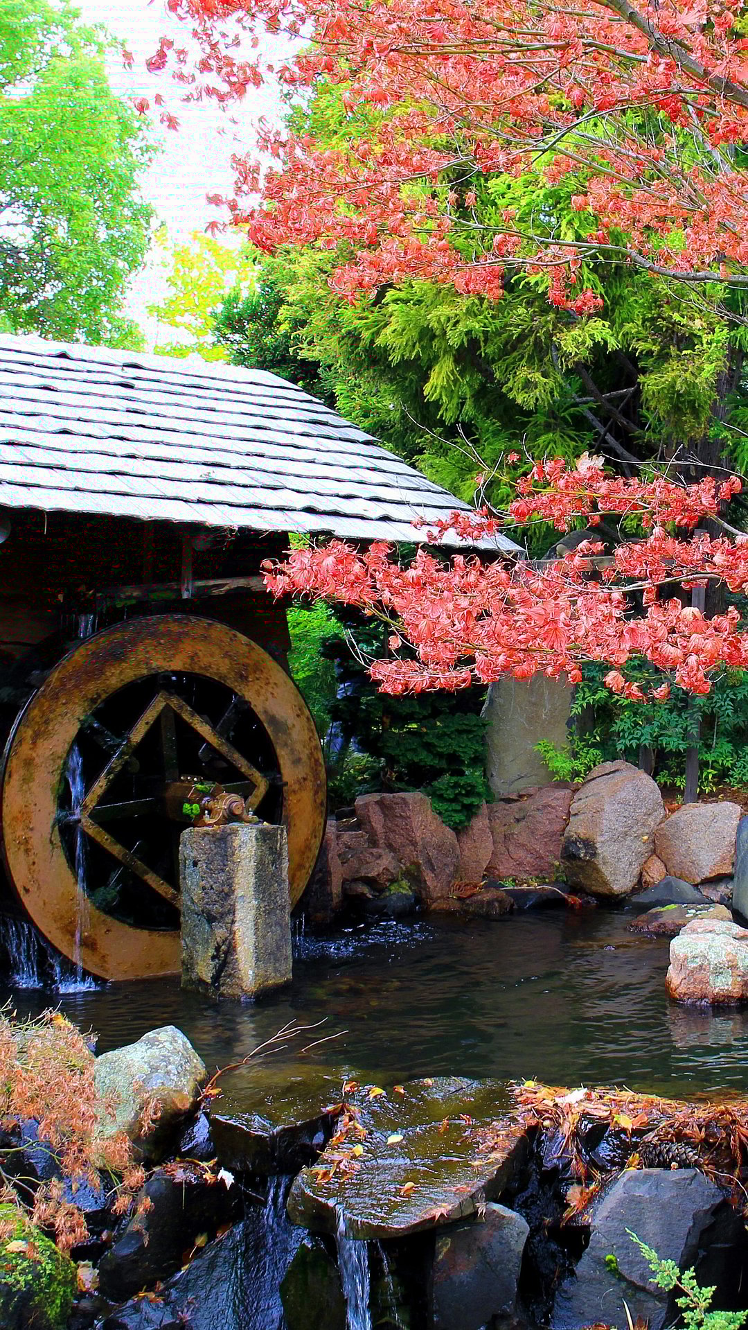 Royal Tasmanian Botanical Gardens