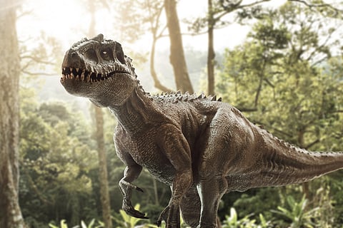 The park will display reconstructions of different dinosaur species