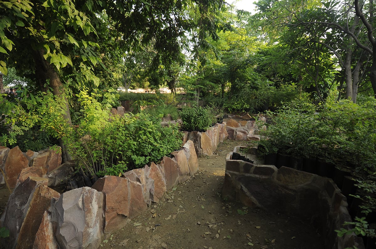Greenery adorns the main entrance to Mehrangarh Fort