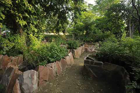 Greenery adorns the main entrance to Mehrangarh Fort