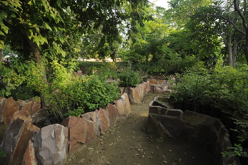 Greenery adorns the main entrance to Mehrangarh Fort