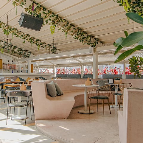 Hungry Hippie has a rooftop setup