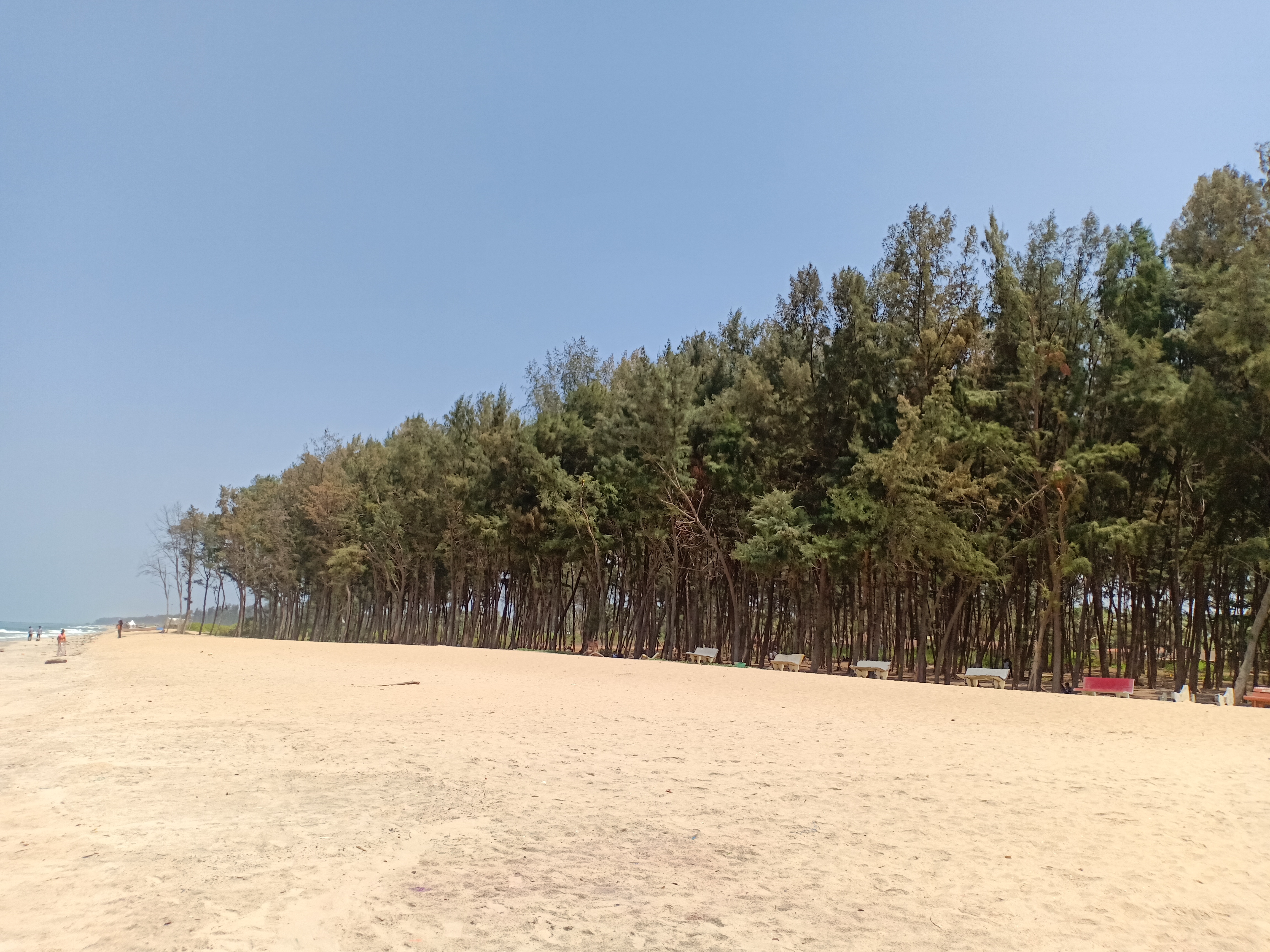 Dip your feet on white sand beaches on the Karnataka coast