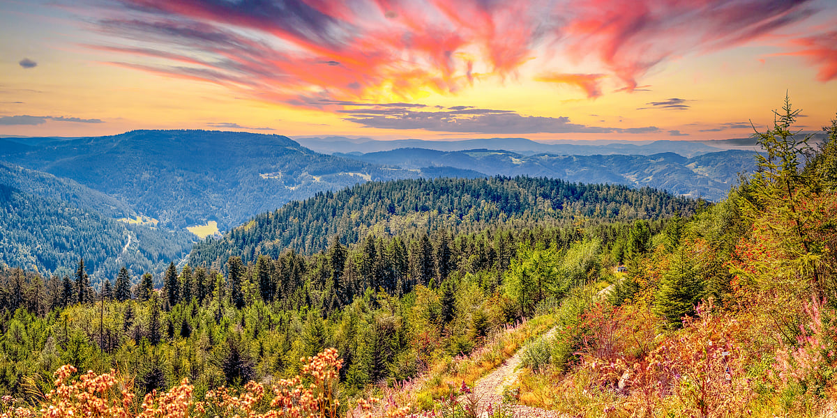 Discover Germanys Offbeat Wonders With Abhimanyu Singh Dalal