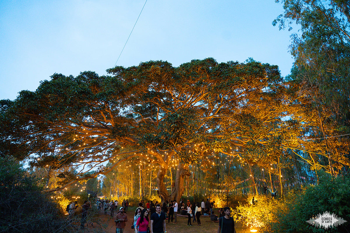 monish bhatt : Echoes of Earth is a green music festival