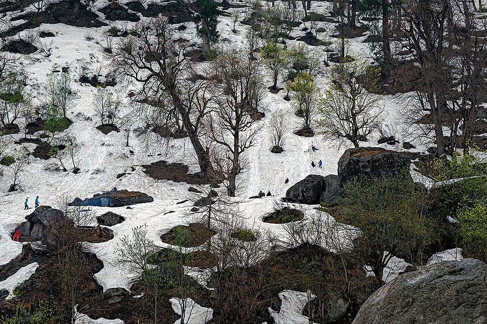 Tourists revel in a winter wonderland, their laughter echoing through the snow-kissed landscapes. —Shimla, Himachal Pradesh