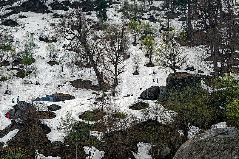 Tourists revel in a winter wonderland, their laughter echoing through the snow-kissed landscapes. —Shimla, Himachal Pradesh