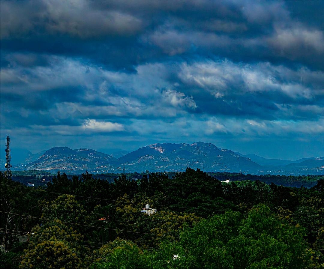 Panoramic View of the Turahalli Forest