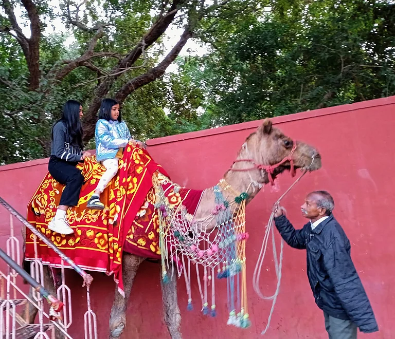 A 10-minute camel ride near Jal Mahal costs Rs 150 per person - Mohua Gupta