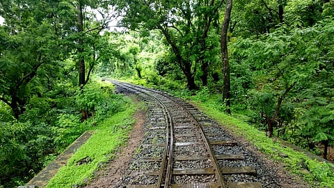 Sanjay Gandhi National Park in Mumbai