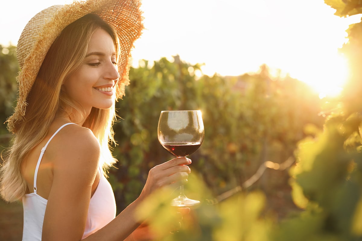 Shutterstock : California has become a sought-after destination for wine lovers