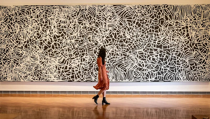 Emily Kam Kngwarray display