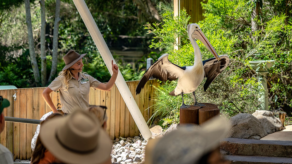 Currumbin Wildlife Sanctuary