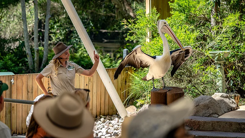Currumbin Wildlife Sanctuary