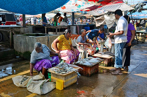 Negombo Fish Market