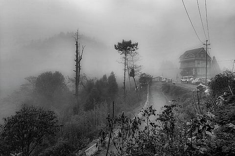 As the mist swirls and the rain gently falls, the hills awaken to a morning shrouded in mystery. — Darjeeling, West Bengal