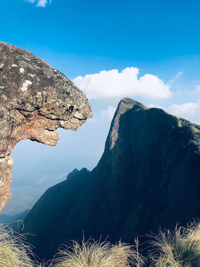 The naturally-formed rock resembles a lions face at Kolukkumalai Peak