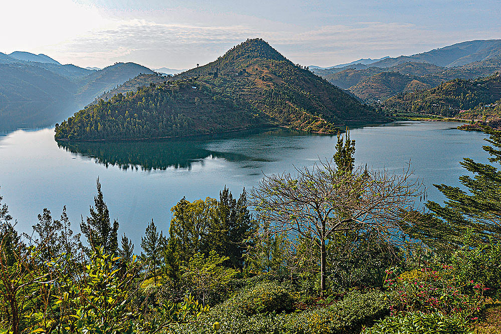 Photograph: Shutterstock