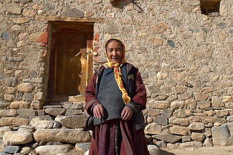 The octogenarian grandma (api)