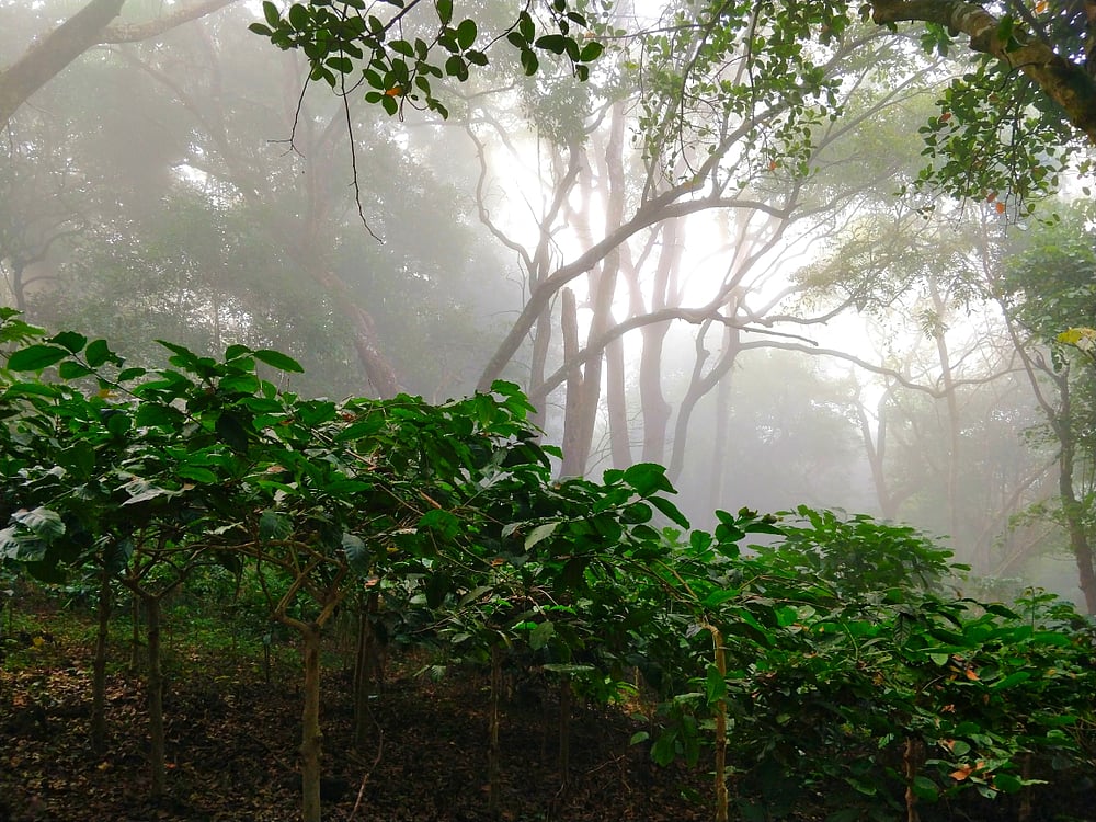 Representational image