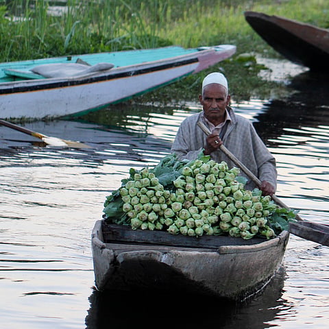 The Floating Market on Dal is the second largest wholesale market in the world