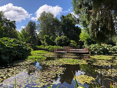Shutterstock : Royal Tasmanian Botanical Gardens