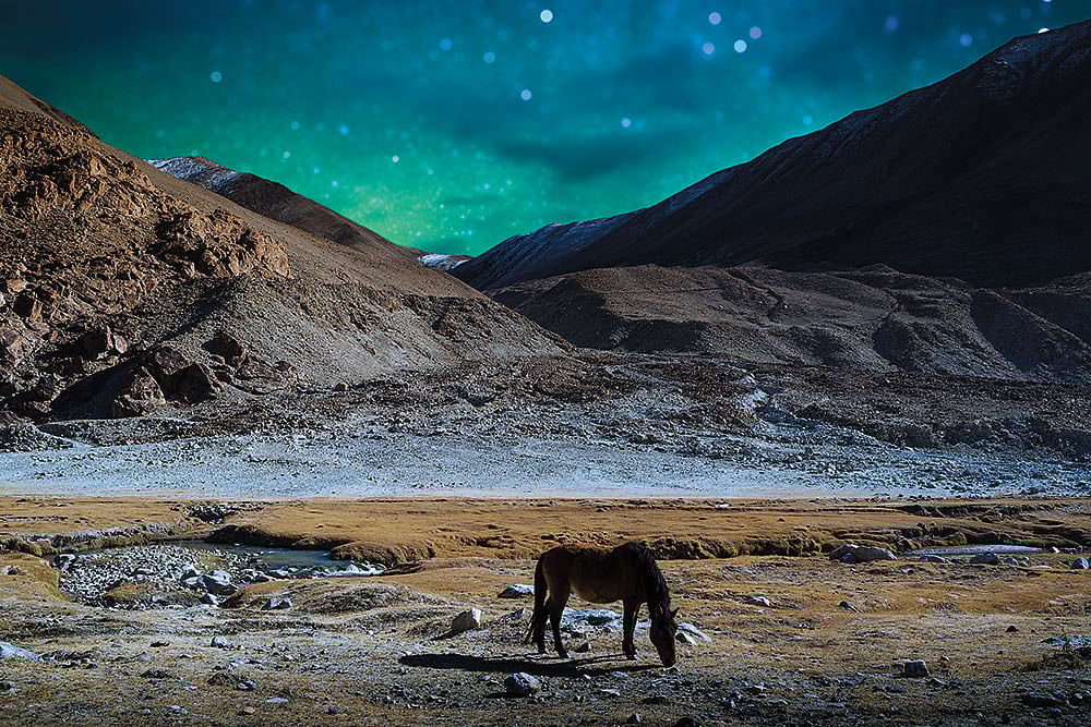 As darkness descends, a celestial spectacle unfolds, illuminating the night sky. —Leh, Ladakh
