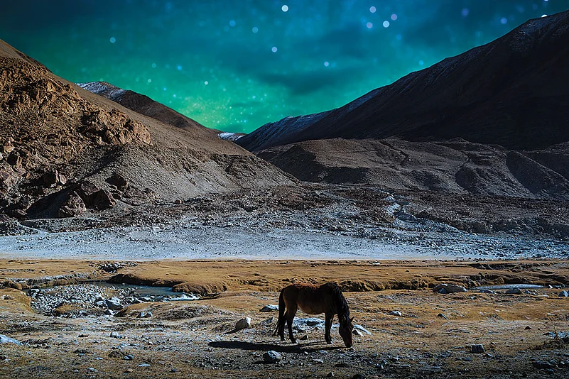 As darkness descends, a celestial spectacle unfolds, illuminating the night sky. —Leh, Ladakh