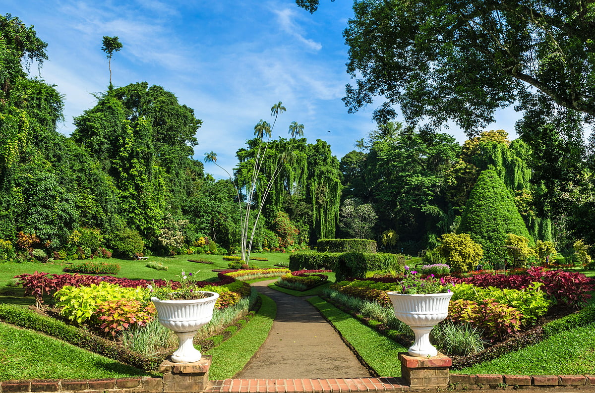 Peradeniya Botanical Gardens