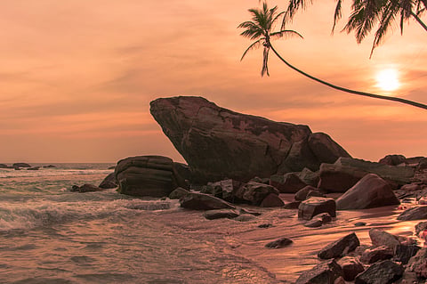 Palm Swing in Unawatuna
