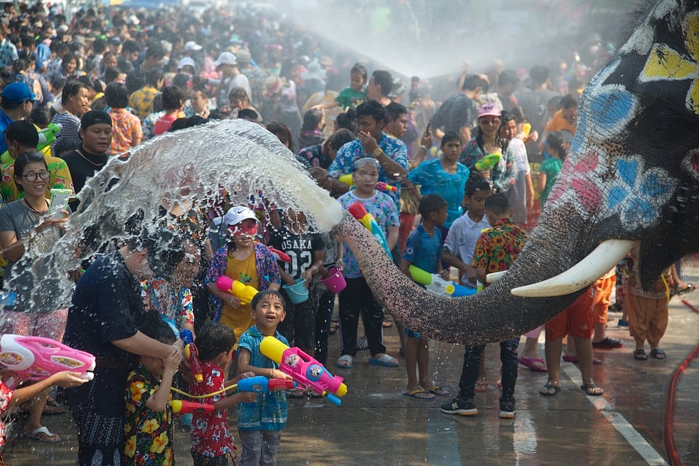 An elephant sprays tourists with water in celebration 