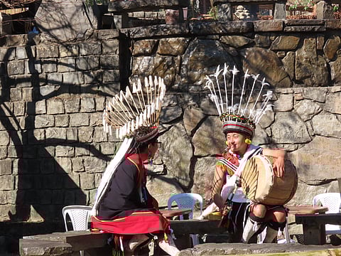 Sunny winter mornings at the festival