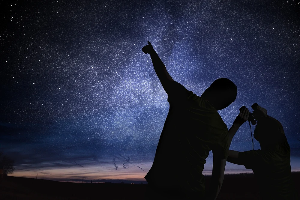vcha/Shutterstock