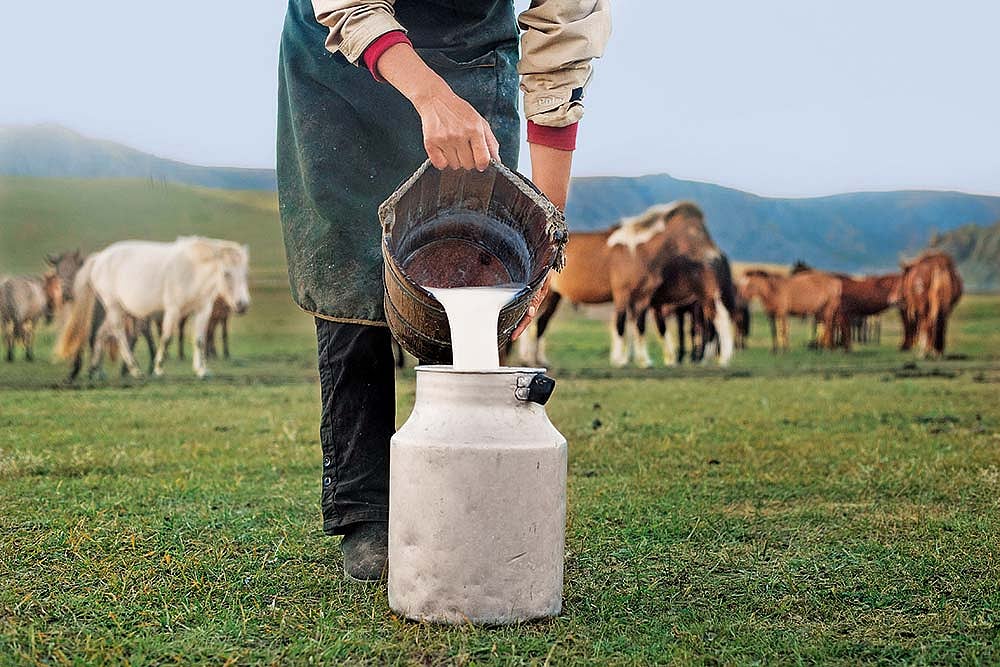 Photograph: Shutterstock