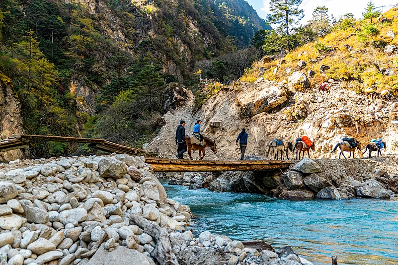 Mules and donkeys are the only way to ferry cargo, and often people, from the basecamp to Laya and Lunana.