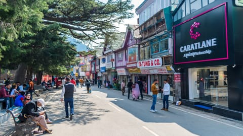 Mall Road is a major hangout point and shopping hub in Shimla